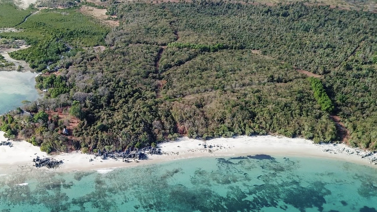 Vue aérienne de la forêt et du littoral