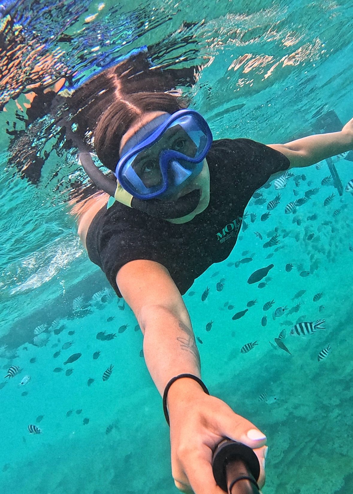 Snorkeling au milieu d'un banc de poissons