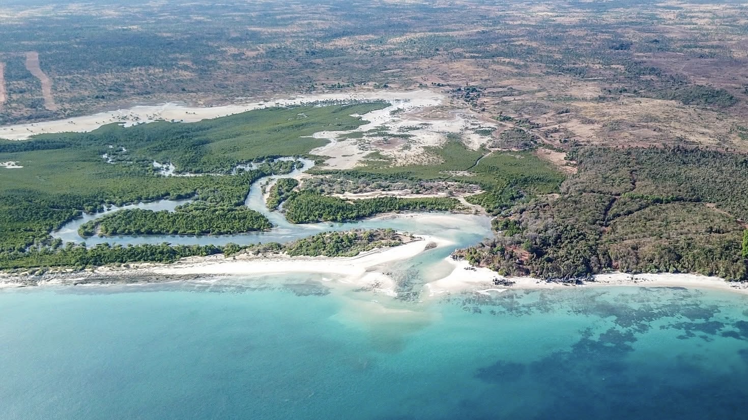 Vue aérienne des méandres de la mangrove et du littoral